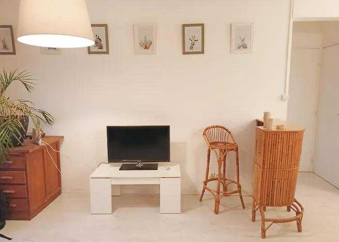 Cosy Et Chalereux Apartman